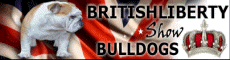 Britishliberty, English bulldog puppies in UK or England, Great Britain ou Angleterre ou Grande-Bretagne
